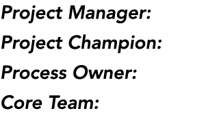 Project Manager: Project Champion: Process Owner: Core Team: