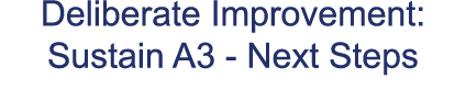 Deliberate Improvement: Sustain A3 Next Steps